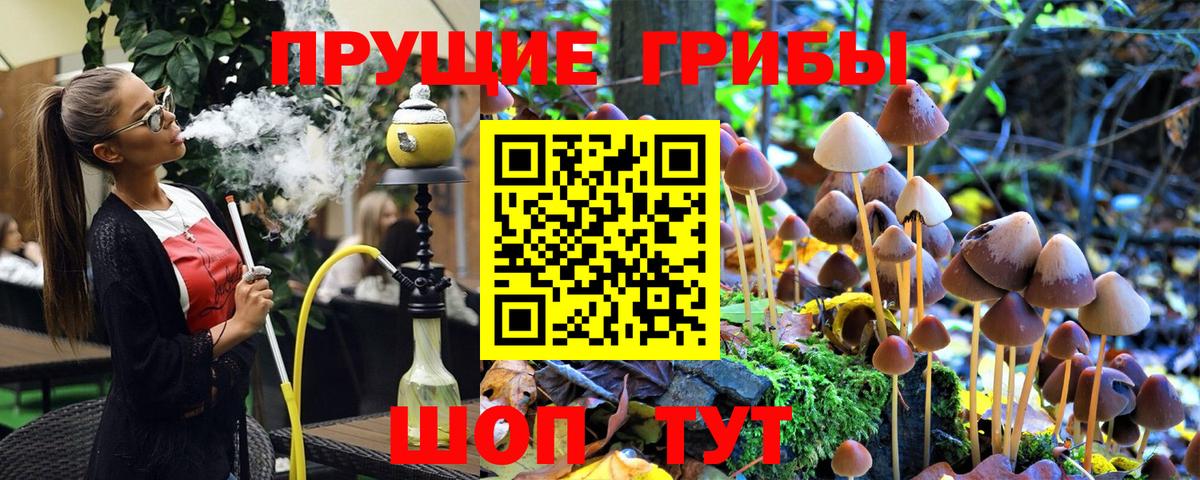 Псилоцибиновые грибы GOLDEN TEACHER  что такое   Ливны  Галлюциногенные грибы MAGIC MUSHROOMS  Вход с VPN 